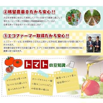 【父の日】【極み】⑦ソムリエトマト　1.3kgとソムリエミニトマト　ダイヤ1kgのセット（60玉から90玉） 2.3kg 野菜/トマト通販