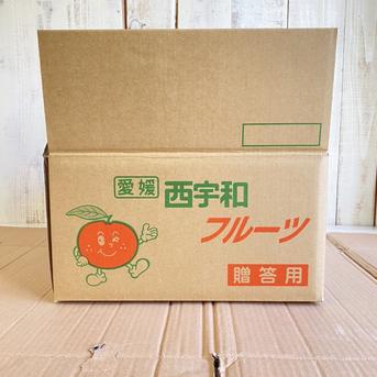 早生温州みかん ! 小玉ちゃん家庭用10キロ箱（宮川早生） 9.4キロ 果物/温州みかん通販