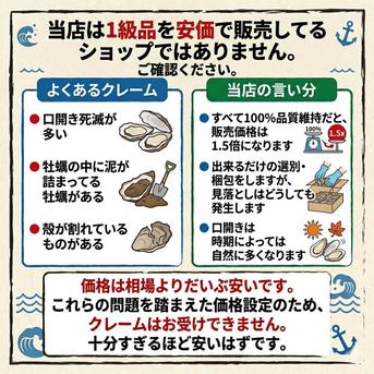 生食用牡蠣10kg 松島牡蠣屋 生食可能な殻付き牡蠣 生牡蠣 牡蛎