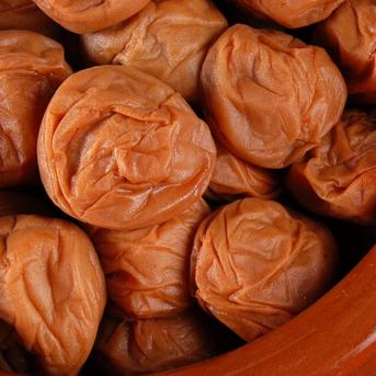 10kg 紀州南高梅 農家直送 梅 無添加 和歌山 紀州 白梅 白干し | 加工