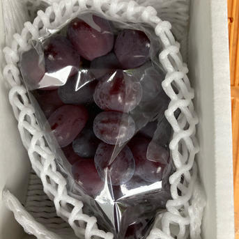 超希少新品種 富士の輝 1房600g以上 ブラックシャインマスカット