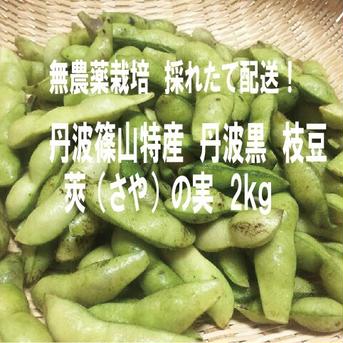 丹波篠山特産　丹波黒枝豆　莢（さや）の実　2ｋｇ無農薬・新鮮！採れたて配送 2ｋｇ 野菜/枝豆通販