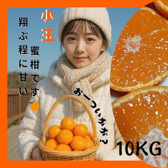 厳選選果の小玉 翔ぶ美味さ！甘熟品 有田みかん 有田市 産地直送 10KG