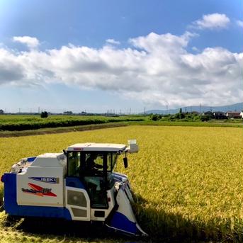 (๑>◡<๑)！令和4年産滋賀県産コシヒカリ玄米 令和4年コシヒカリ玄米 箱込み5kgリサイクル箱 米・穀物/玄米通販
