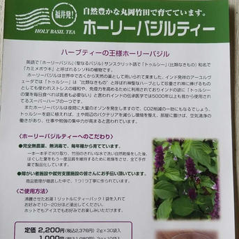 ホーリーバジルティー 1.8g×30袋入 1.8g×30袋 お茶/ハーブティー通販