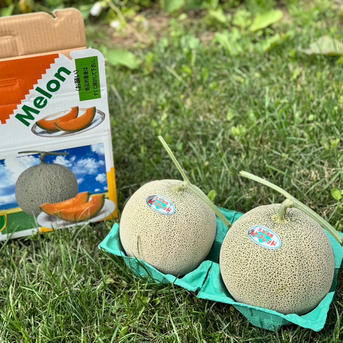 ルピアメロン メロン2個入り 果物/メロン通販