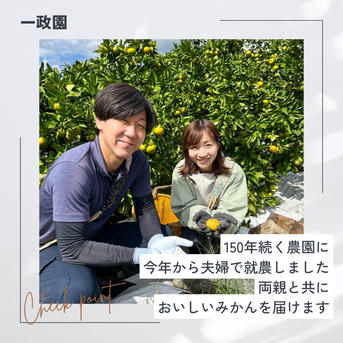 【完熟有田みかん】家庭用　大玉　3Lサイズ箱込み5キロ　早生みかん　宮川早生 5キロ3Lサイズ 果物/温州みかん通販