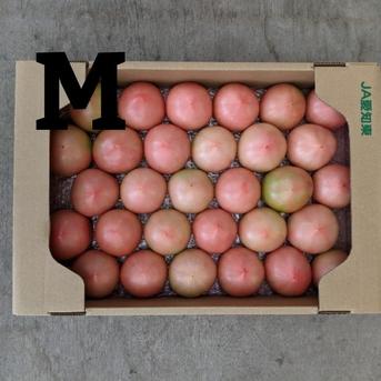 トマト80サイズ箱Mサイズ 4kg 野菜/トマト通販