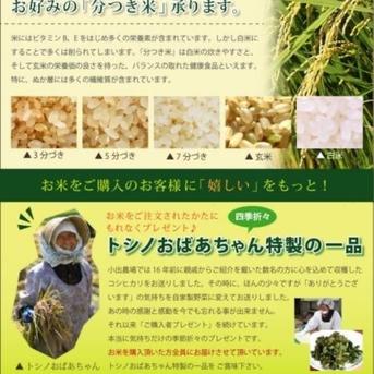 新潟県産　つきあかり  無洗米  5キロ  令和6年産  お米　　(送料込み) 5kg×1 米・穀物/無洗米通販