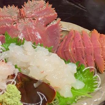 【希少！】【活き】サイズ色々  ウチワエビ  500g  約3～5匹 500g 魚介類/エビ通販