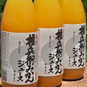 水を一滴も使わない】愛媛みかん100％ストレートジュース（1000ml×6本