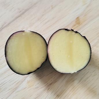 常温便】食べ比べ デストロイヤー&タワラマゼラン 計1.5kg(8-18個程度
