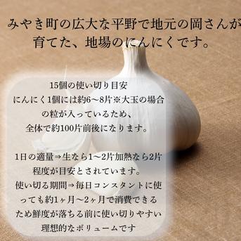 佐賀県みやき町岡さんちのニンニク（にんにく）15個 ｜ 野菜/にんにく