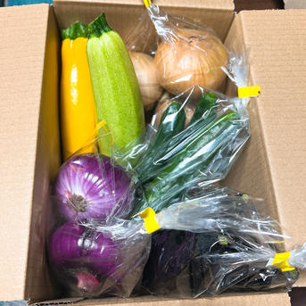旬祭限定】夏野菜セット2026 ｜ 野菜/野菜セット・詰め合わせ 産直