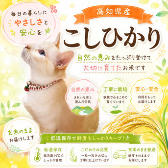 令和8年8月収穫！！高知県産コシヒカリ玄米30kg ｜ 米・穀物/玄米 産直
