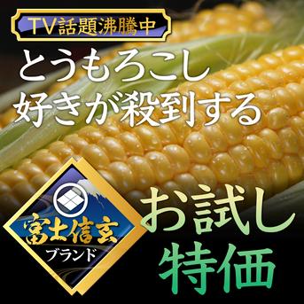 【8月上旬発送】昨年1万本販売実績☆TBSラヴィット話題沸騰中☆🌽お中元ギフト🌽日本最高峰の糖度を誇る『富士信玄とうもろこし』約1.5kg 富士信玄とうもろこしお試し約1.5キロ 野菜/とうもろこし通販