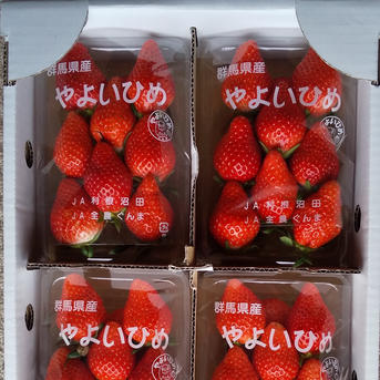 やよいひめ ￥2350~ 加工用 資材込み 食べ比べ】平詰め粒揃いDX1箱2パック やよいひめ•よつぼし•おいCベリー