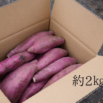 送料込み!! 追熟 紅はるか さつまいも 栽培期間中農薬不使用 宮崎県産約2㎏ SS〜Mサイズ 約2㎏ SS〜Mサイズ 野菜/さつまいも通販