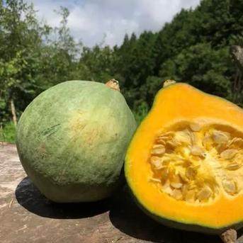 5kg【数量限定】自然栽培！固定種の農薬不使用の南瓜！野菜　かぼちゃ かぼちゃ5kgほど 野菜/かぼちゃ通販