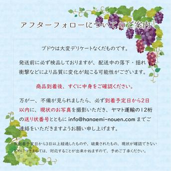 4M-2家 花笑み農園 岡山『ぶどう4種MIX』（シャイン＋厳選3種）2kg