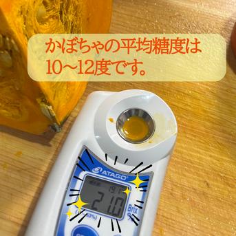 ホクホク🎃あまあま🎃薄皮【へそかぼちゃ】1.5㎏以上 1玉 | 野菜