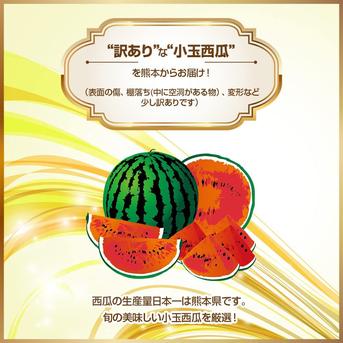 【選果落ち 訳あり商品】 熊本県産 赤肉メロン1玉＆小玉西瓜1玉  合計約1.7㎏ 【002】規格外 家庭用 贈答不可 加工用  クインシー レノン すいか スイカ めろん その他 果物 フルーツ 赤肉メロン1玉＆小玉西瓜1玉  合計約1.7㎏  果物/メロン通販