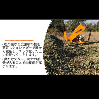 【食べ比べセット】自家製完熟堆肥で育てた優しいおいしさ『てまひま米』 4kg【彩のきずな2kg、彩のかがやき2kg】 米・穀物/米/精米通販