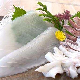 刺身用　白イカむき身（冷凍)約350g（3-10枚程度入）サイズ不揃い　個包装　（ケンサキ） 刺身用　白イカむき身（冷凍)約350g（3-10枚程度入）サイズ不揃い　個包装　 魚介類/イカ通販