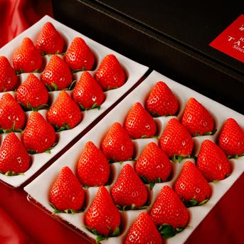 専用ページ　やよいひめ苗　100本 専用ページ やよいひめ苗 100本 【やよいひめ】 苺 4パック入りセット