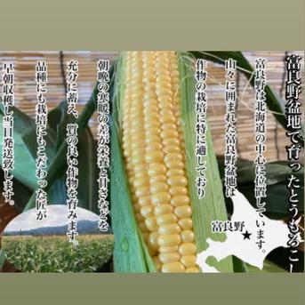 北海道富良野産 イエローコーンL〜2L 10本入 イエローコーンL〜2L 10本入　 野菜/とうもろこし通販