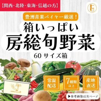 【関西・北陸・東海・信越へ配送の方】60サイズ箱いっぱい房総旬野菜詰め合わせ（60サイズ箱） 60サイズ箱いっぱい 野菜/野菜セット・詰め合わせ通販