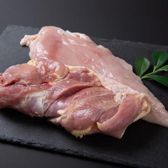 【お試し商品】【まずはお試し！】【冷蔵】鹿野地鶏もも肉・むね肉1枚づづセット（約500ｇ） もも肉1枚むね肉1枚（約500ｇ） 肉/鶏肉通販