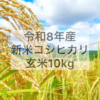 新米】令和8年8月収穫コシヒカリ玄米10kg ｜ 米・穀物/玄米 産直アウル