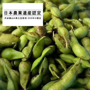 黒豆の本場！〈解禁期〉丹波篠山の黒枝豆さや1.8kg 販売期間10/11(月)〜10/17(日) さや600g×3 野菜/豆類通販