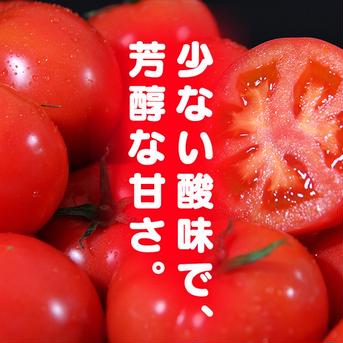 ⑦ソムリエトマト １.３kgとソムリエミニトマト　ダイヤ１kgのセット トマト1.3kg ダイヤ1kg 野菜/トマト通販