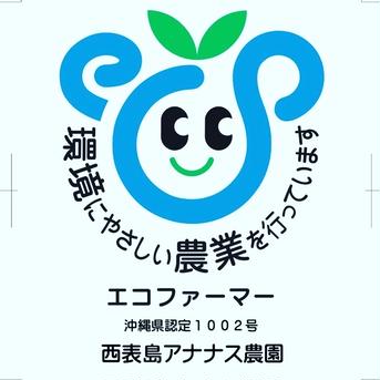 完熟マンゴー　秀品2kg(4〜6個) 2kg(4〜6個) 果物/マンゴー通販