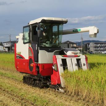 令和7年産新米ミルキークイーン炊飯食味値91点極上米真空パック白米