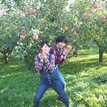 黒さが完熟の証！ 秋映 3㎏ (7～10玉) 特秀(贈答用) 長野県産 りんご【10月上旬頃~発送】 約3キロ 果物/りんご通販