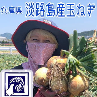 竹川ファームの淡路島産新玉ねぎ　最高品種　七宝 5キロ 野菜/玉ねぎ通販