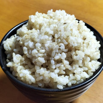 送料無料・令和7年　あきたこまち　玄米　15キロ 玄米12kg 秋田のあきたこまち【令和7年産】 ｜ 米・穀物/玄米 産直