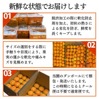 送料込み】和歌山のたねなし柿 がっつりSサイズ5kg（30-40個）ご家庭用