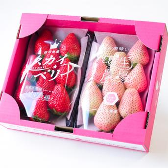 平2種食べ比べ2P（300g×2パック）2品種組み合わせ！とちぎのいちご