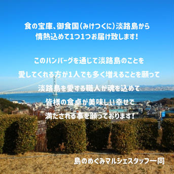 淡路島手作りプレミアムハンバーグ10個 120g10個 肉/その他肉の加工品通販