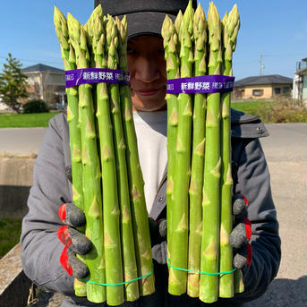 プレミアムアスパラガス【極】1日限定1組2kg🏅おおもりやブランド最高峰🏅 その日採れた最高級2kg 野菜/アスパラガス通販