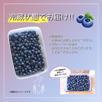 完熟大粒2L.3Lサイズ】生ブルーベリー1kg ｜ 果物/ベリー類 産直アウル