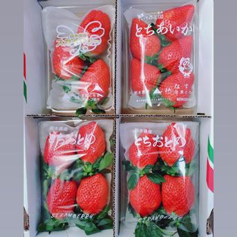 いちご　イチゴ　苺　食べ比べ　減農薬　新鮮 2箱4種いちごの食べ比べ ｜ 果物/いちご 産直アウル 農家・漁師など