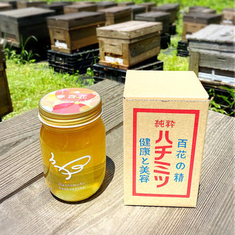 2024年新潟県産はちみつ 春百花500g 500g はちみつ/はちみつ通販