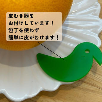 さつき八朔 10キロ（箱込み）訳あり はっさく さつき八朔 ｜ 果物