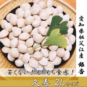 2026年＊新物】祖父江銀杏《久寿》満足2Lお試し350g ｜ 野菜/その他