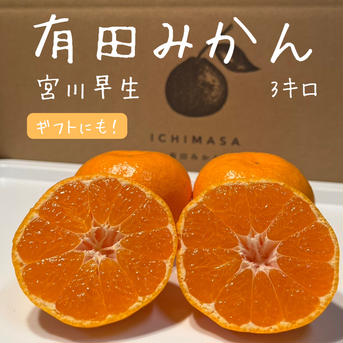 完熟甘うま！【有田みかん】　温州みかん　3キロ　宮川早生　早生みかん 3kg2Sサイズ 果物/温州みかん通販